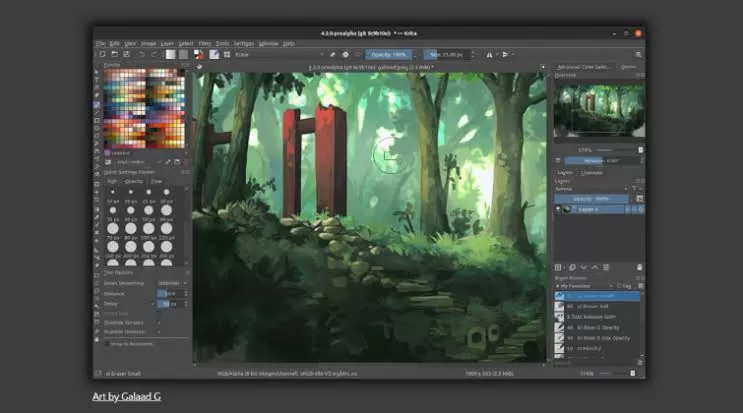 Video And Animation 
